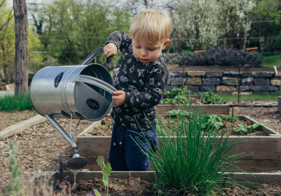 A Small Boy Watering a Plant Box With a Watering Can